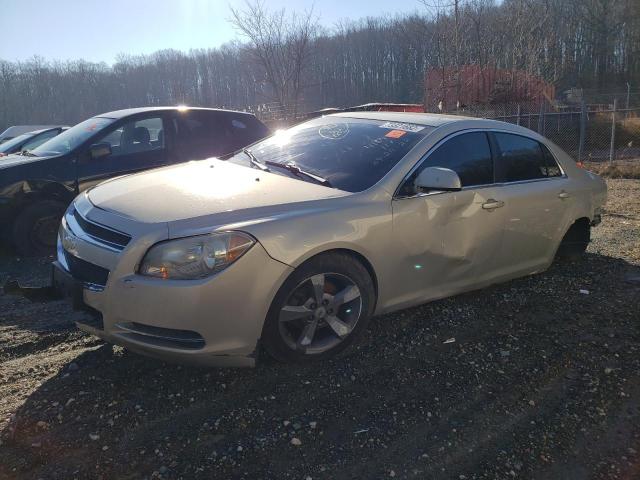 CHEVROLET MALIBU 1LT 2011 with VIN 1G1ZC5E19BF102192 - Photo from auction