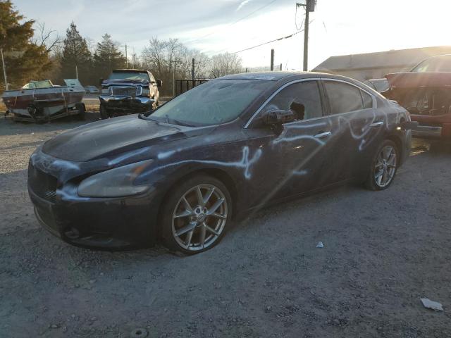NISSAN MAXIMA S 2009 with VIN 1N4AA51E79C849505 - Photo from auction