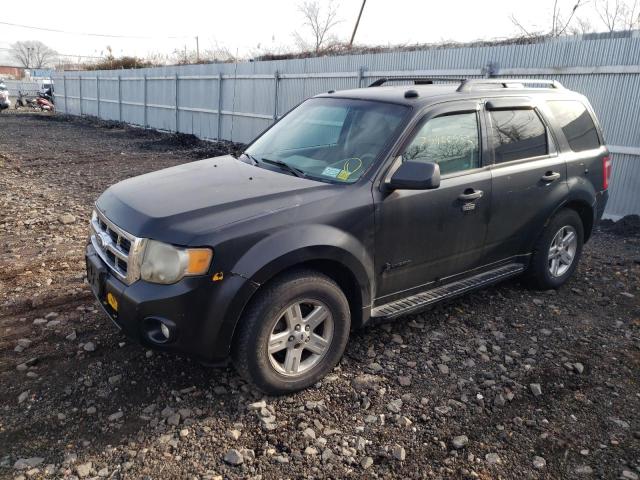 FORD ESCAPE 2011 with VIN 1FMCU4K32BKC32523 - Photo from auction