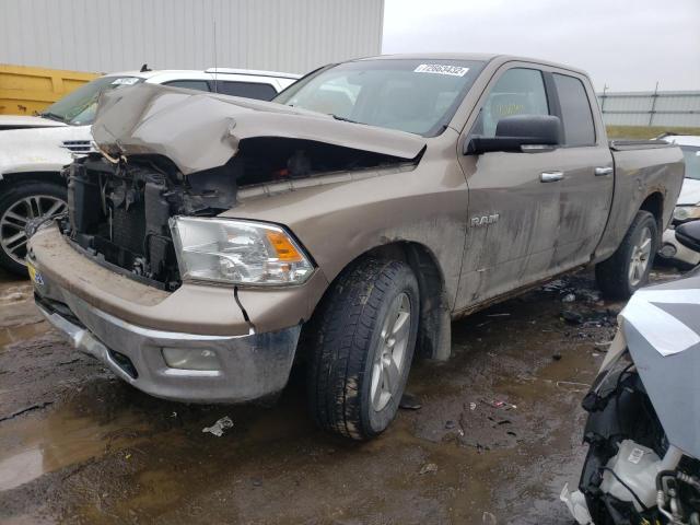 DODGE RAM 1500 2010 with VIN 1D7RV1GP3AS116337 - Photo from auction
