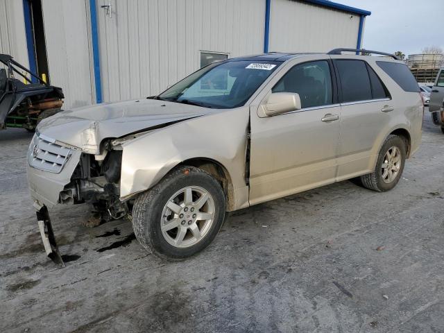 CADILLAC SRX 2009 with VIN 1GYEE437690156428 - Photo from auction