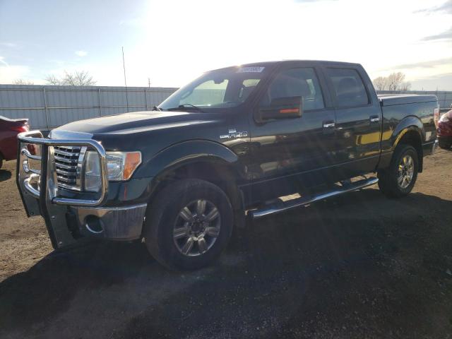 FORD F150 SUPER 2010 with VIN 1FTFW1EV3AFA14279 - Photo from auction