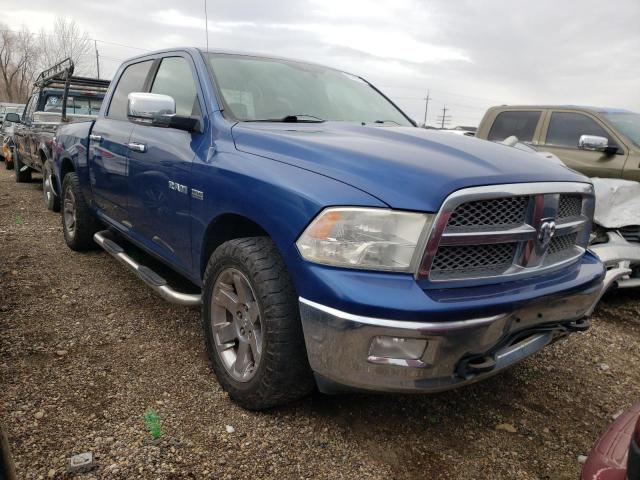 DODGE RAM 1500 2009 with VIN 1D3HV13T89J505248 - Photo from auction