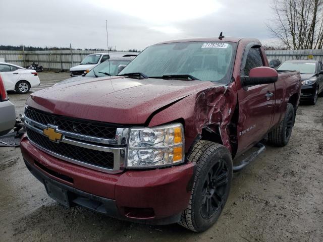 CHEVROLET SILVERADO 2009 with VIN 1GCEC14X99Z177245 - Photo from auction