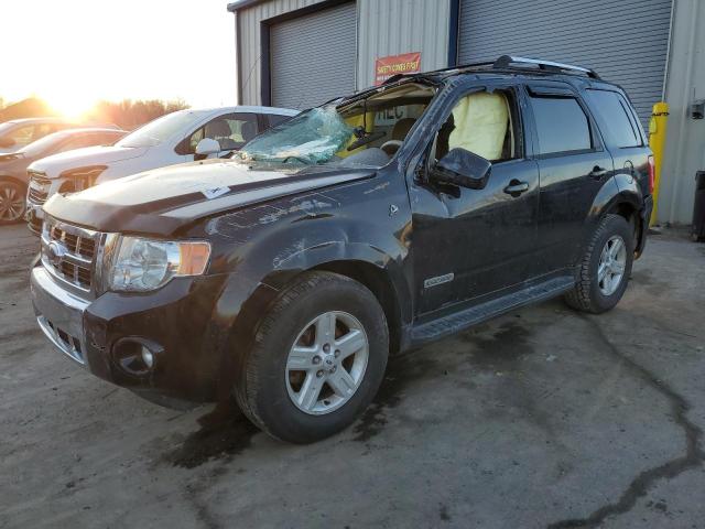 FORD ESCAPE HEV 2008 with VIN 1FMCU59H88KA77069 - Photo from auction