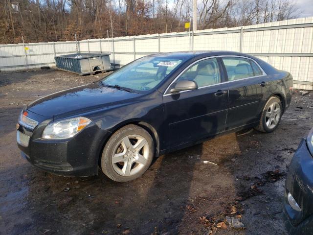 CHEVROLET MALIBU LS 2011 with VIN 1G1ZA5E11BF328894 - Photo from auction