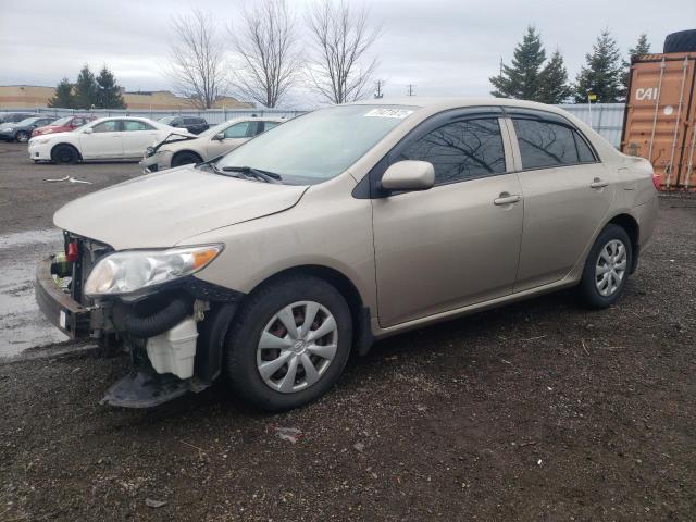 TOYOTA COROLLA BA 2009 with VIN 2T1BU40E79C092839 - Photo from auction