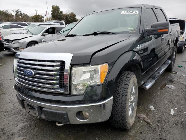 Photo 1 from auction – 2010 FORD F150 SUPER with VIN 1FTFW1EV4AFD33383