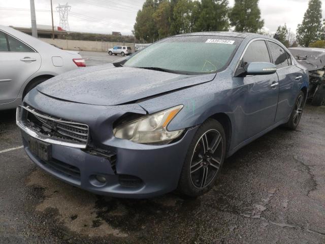 NISSAN MAXIMA S 2010 with VIN 1N4AA5AP1AC803299 - Photo from auction