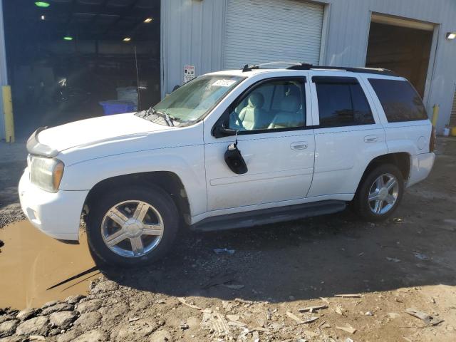 Photo 1 from auction – 2008 CHEVROLET TRAILBLAZE with VIN 1GNDS13S282146096