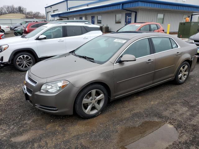 CHEVROLET MALIBU 1LT 2011 with VIN 1G1ZC5E13BF382594 - Photo from auction