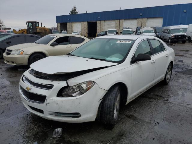 CHEVROLET MALIBU 1LT 2011 with VIN 1G1ZC5E17BF216739 - Photo from auction