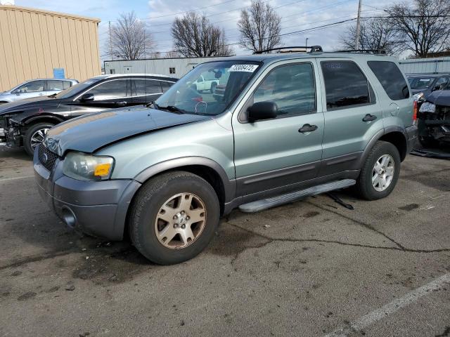 FORD ESCAPE XLT 2006 with VIN 1FMYU93196KA46645 - Photo from auction