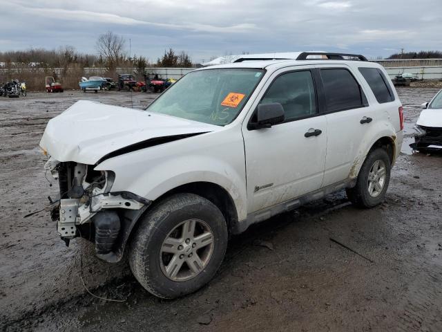 FORD ESCAPE HYB 2009 with VIN 1FMCU59389KA49293 - Photo from auction