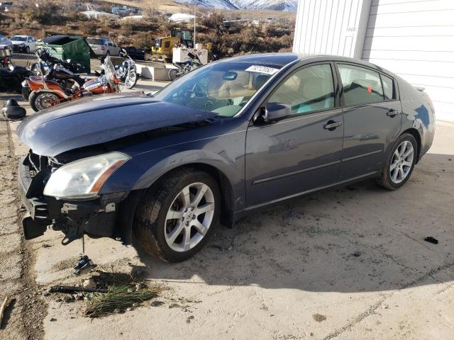 NISSAN MAXIMA SE 2008 with VIN 1N4BA41E38C832763 - Photo from auction