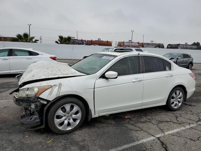 HONDA ACCORD EX 2008 with VIN 1HGCP36788A075292 - Photo from auction