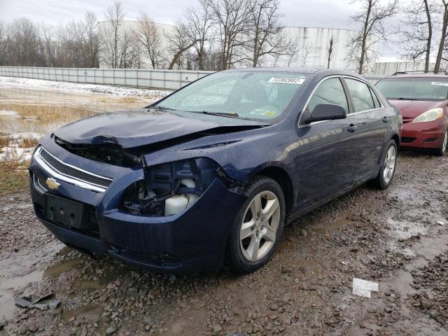 CHEVROLET MALIBU LS 2012 with VIN 1G1ZB5E01CF281596 - Photo from auction