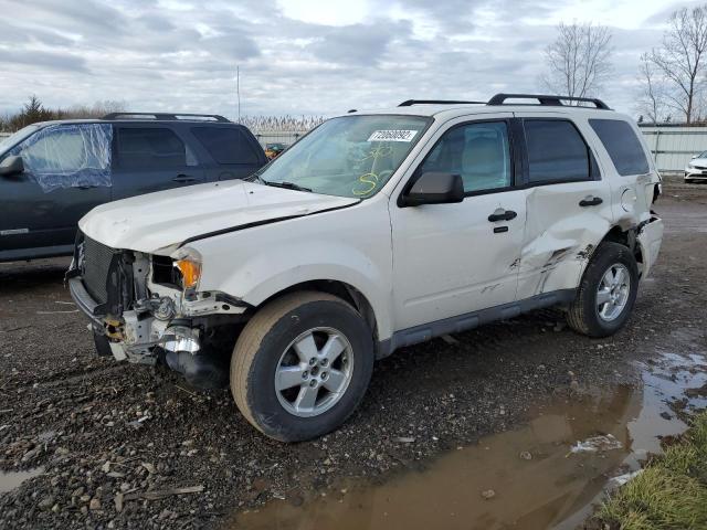 FORD ESCAPE XLT 2010 with VIN 1FMCU0D76AKB78585 - Photo from auction