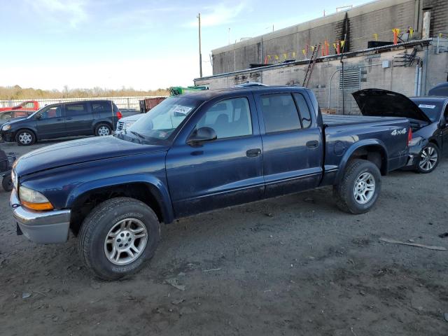DODGE DAKOTA QUA 2003 with VIN 1D7HG48N73S105607 - Photo from auction