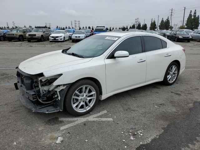 Photo 1 from auction – 2009 NISSAN MAXIMA S with VIN 1N4AA51E29C820008