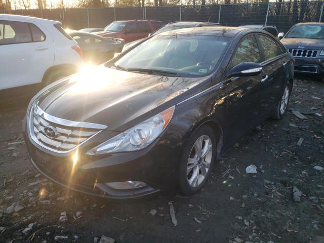HYUNDAI SONATA SE 2011 with VIN 5NPEC4AC1BH039649 - Photo from auction