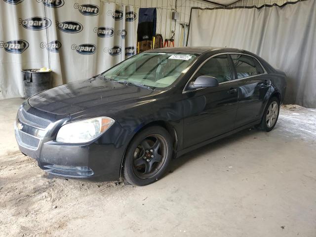 CHEVROLET MALIBU LS 2011 with VIN 1G1ZB5E17BF328525 - Photo from auction