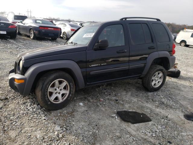 JEEP LIBERTY SP 2003 with VIN 1J4GK48K33W691090 - Photo from auction