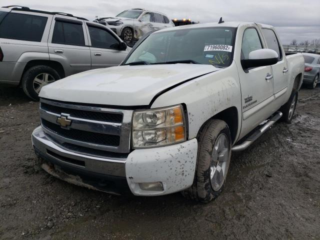 Photo 1 from auction – 2009 CHEVROLET SILVERADO with VIN 3GCEC23099G185520