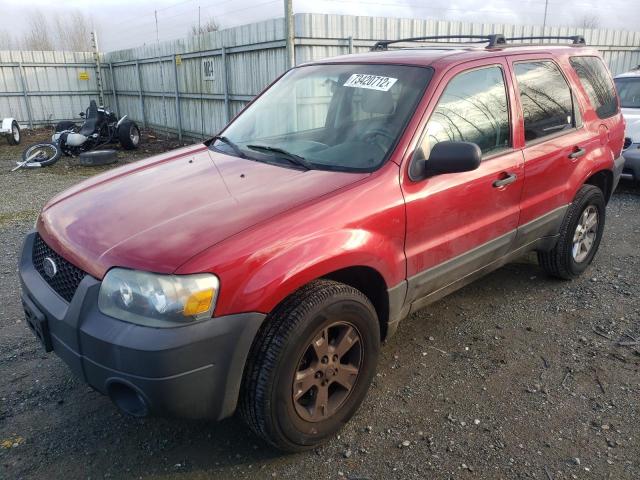 FORD ESCAPE XLT 2007 with VIN 1FMCU03Z67KA25359 - Photo from auction