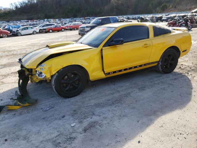 FORD MUSTANG 2005 with VIN 1ZVFT80NX55169462 - Photo from auction
