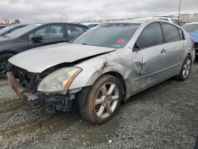 NISSAN MAXIMA SE 2004 with VIN 1N4BA41E44C887152 - Photo from auction