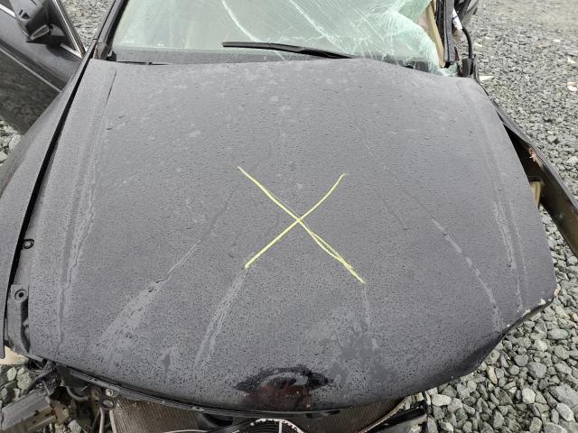 Photo 11 from auction – 2010 HONDA ACCORD EXL with VIN 1HGCP2F89AA099545