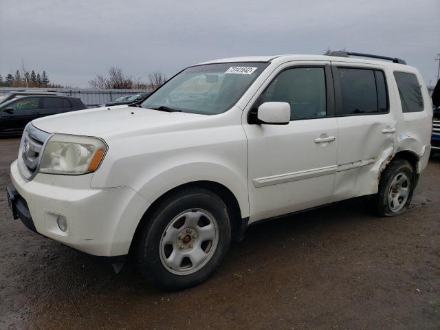 HONDA PILOT EXL 2011 with VIN 5FNYF4H54BB504418 - Photo from auction