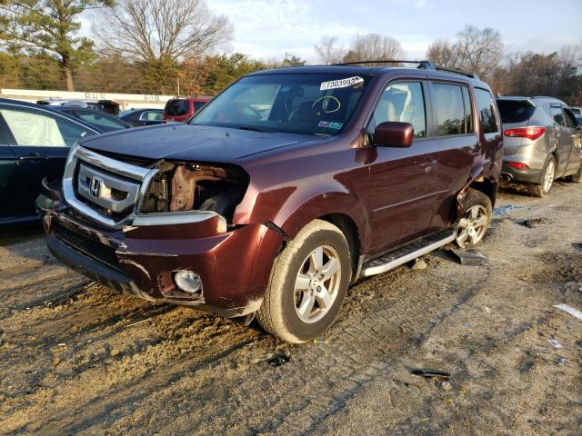 Photo 1 from auction – 2010 HONDA PILOT EXL with VIN 5FNYF4H56AB022869