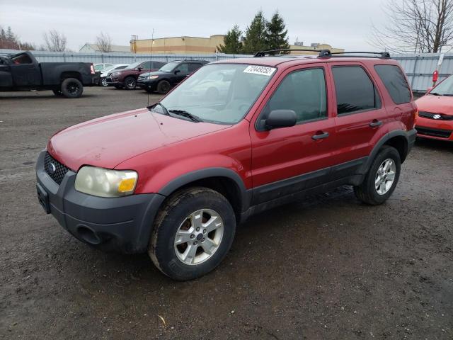 FORD ESCAPE XLT 2006 with VIN 1FMYU03166KD44694 - Photo from auction