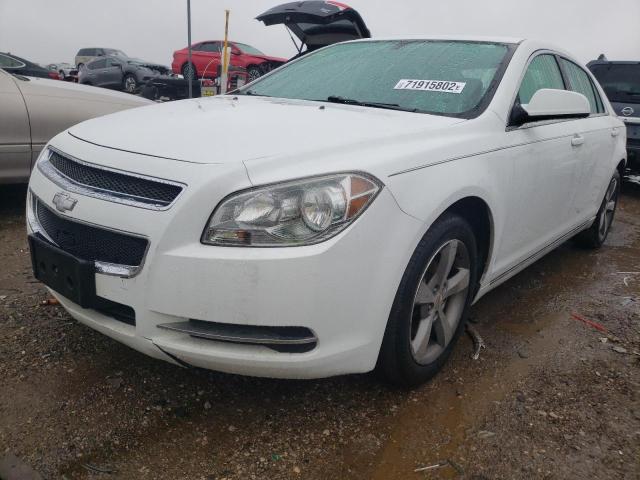 CHEVROLET MALIBU 1LT 2011 with VIN 1G1ZC5EU8BF146601 - Photo from auction