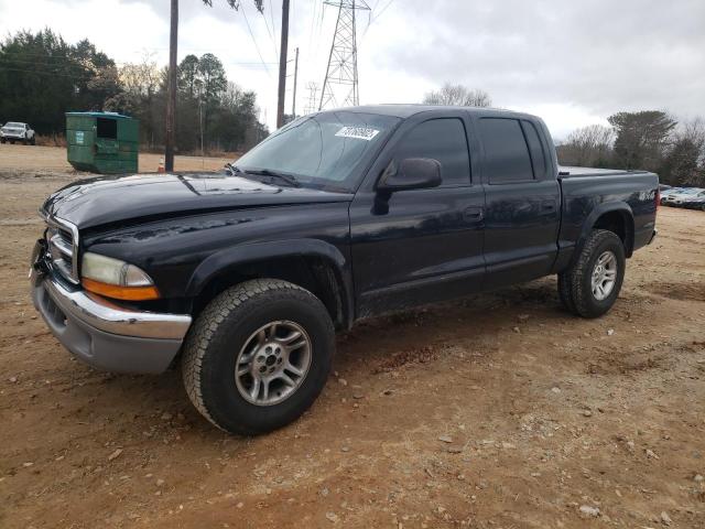 DODGE DAKOTA QUA 2003 with VIN 1D7HG48N73S124321 - Photo from auction