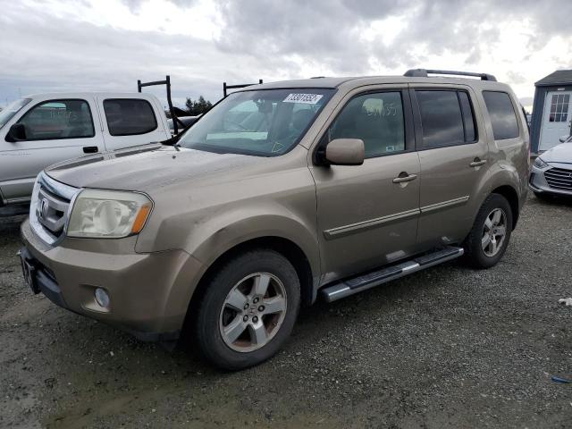 HONDA PILOT EXL 2009 with VIN 5FNYF48519B035461 - Photo from auction