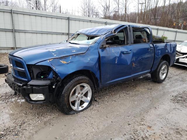 DODGE RAM 1500 2009 with VIN 1D3HV13T59S728857 - Photo from auction