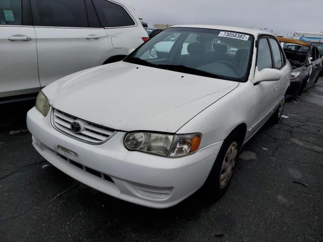 TOYOTA COROLLA CE 2001 with VIN 1NXBR12E21Z559519 - Photo from auction