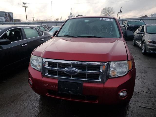Photo 5 from auction – 2008 FORD ESCAPE XLT with VIN 1FMCU93138KD67982
