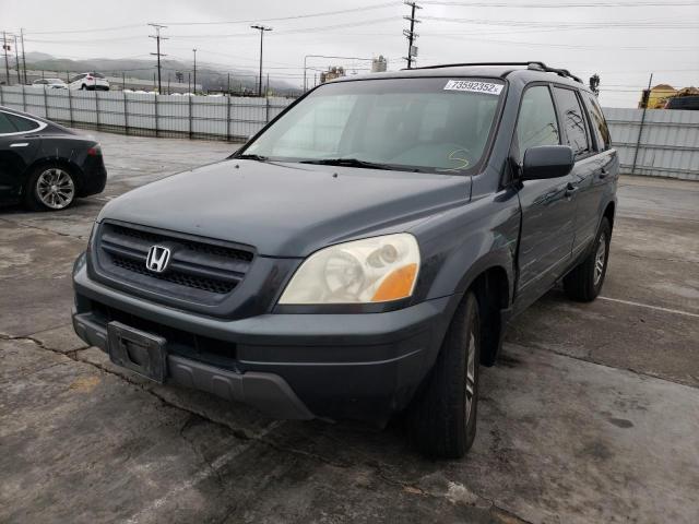 HONDA PILOT EX 2005 with VIN 5FNYF18475B017787 - Photo from auction