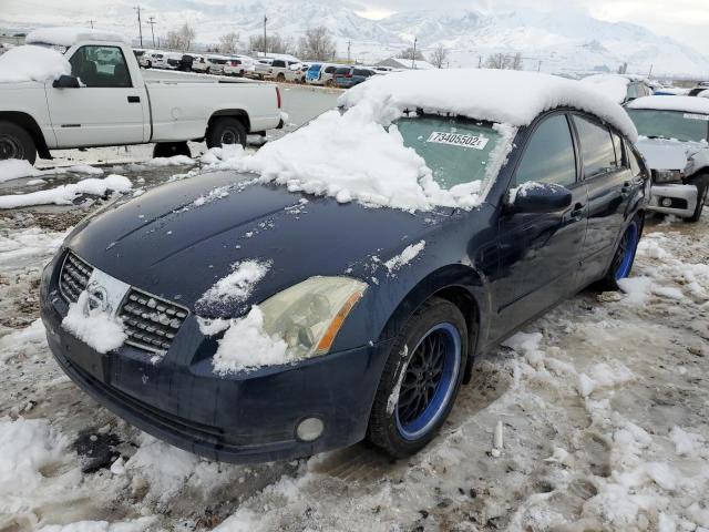 NISSAN MAXIMA SE 2005 with VIN 1N4BA41E25C853731 - Photo from auction