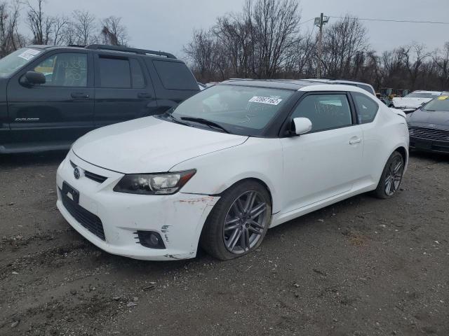 TOYOTA SCION TC 2011 with VIN JTKJF5C75B3012812 - Photo from auction