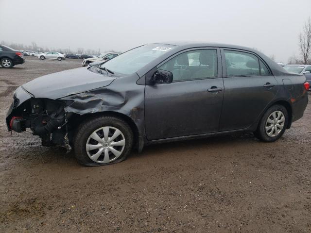 TOYOTA COROLLA BA 2010 with VIN 2T1BU4EE8AC245239 - Photo from auction