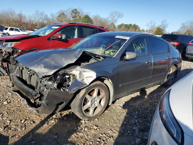 NISSAN MAXIMA SE 2005 with VIN 1N4BA41E35C844911 - Photo from auction