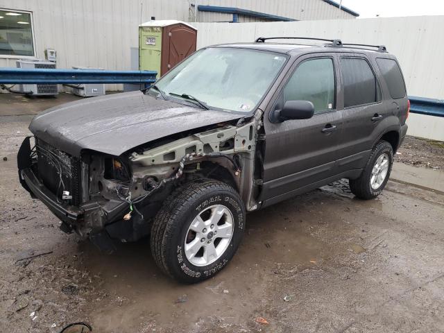 Photo 1 from auction – 2007 FORD ESCAPE XLT with VIN 1FMYU03117KA04547