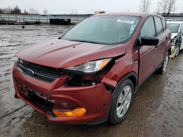 FORD ESCAPE S 2014 with VIN 1FMCU0F72EUB26149 - Photo from auction