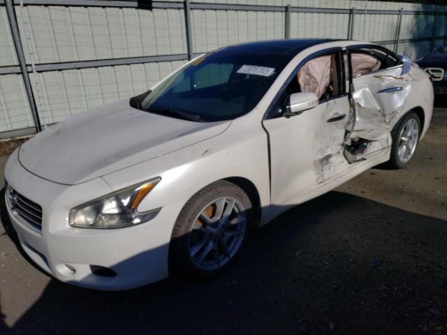 NISSAN MAXIMA S 2010 with VIN 1N4AA5APXAC837421 - Photo from auction