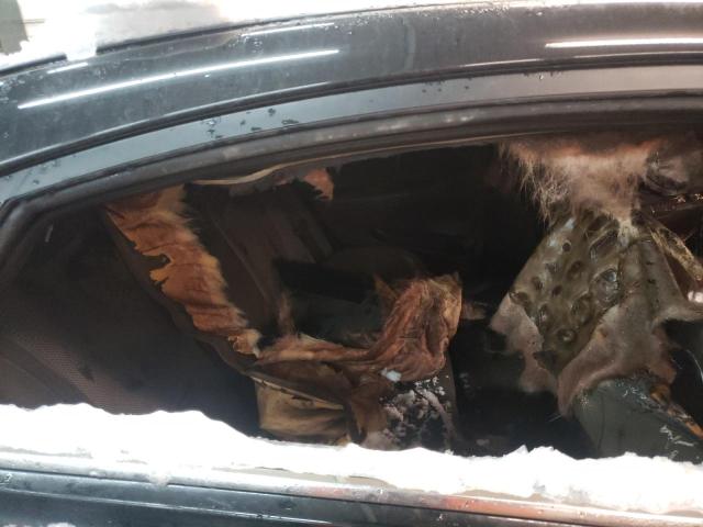 Photo 10 from auction – 2011 HYUNDAI SONATA GLS with VIN 5NPEB4AC6BH088705
